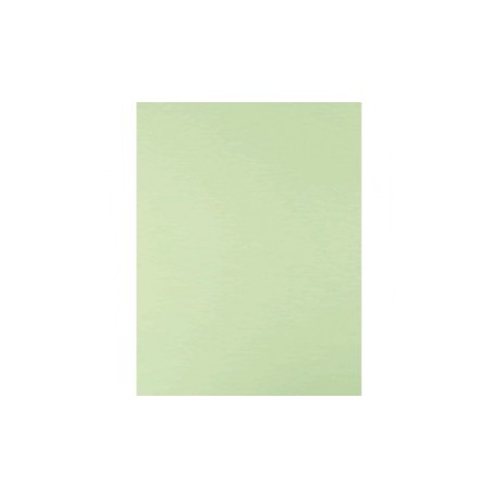 CARTULINA TAMANO CARTA VERDE PALIDO